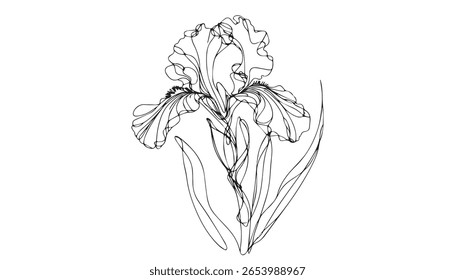 Vetor isolado um único lindo flor íris arte linha contemporânea incolor preto e branco linha de contorno fácil desenho