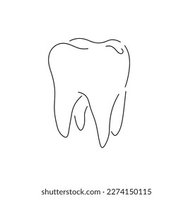 Vector isolated one single big large molar tooth with four roots colorless black and white contour line easy drawing