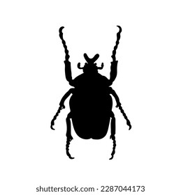 Vector aislado un único gran insecto con seis patas vista superior forma de sombra de contorno blanco y negro incolora