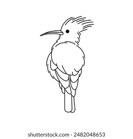 Vector aislado un solo pájaro con un penacho incoloro negro y blanco línea de contorno fácil de dibujar	
