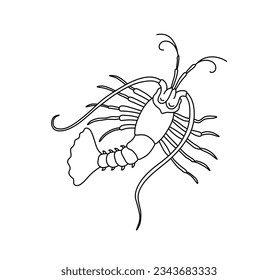 Vector isolated one single cancer lobster omar shrimp langoustin langoust top view colorless black and white contour line easy drawing