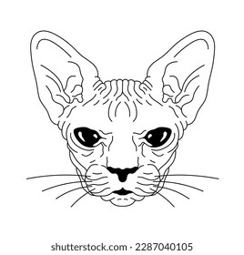 Vector isolated one single cat head bald cat sphinx breed front view portrait colorless black and white contour line easy drawing