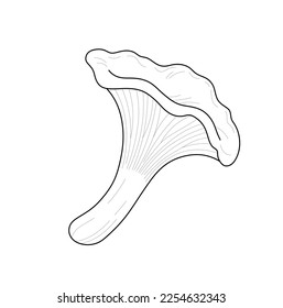 Vector isolated one single chanterelle mushrooms colorless black and white contour line easy drawing