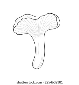 Vector isolated one single chanterelle mushrooms colorless black and white contour line easy drawing