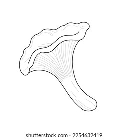 Vector isolated one single chanterelle mushrooms colorless black and white contour line easy drawing