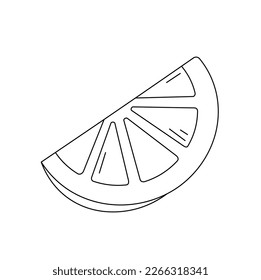 Vector isolated one single citrus half circle slice piece colorless black and white contour line easy drawing