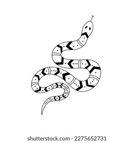 Vector isolated one single crawling ornate snake top view colorless black and white contour line easy drawing