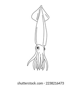 Vector isolated one single cute cartoon realistic swimming squid cuttlefish with eyes and tentacles colorless black and white contour line easy drawing