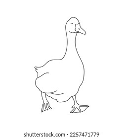 Vector isolated one single cute cartoon funny goose colorless black and white contour line easy drawing