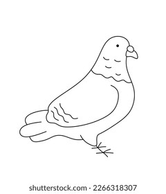 Vector isolated one single cute cartoon standing pigeon bird side view colorless black and white contour line easy drawing