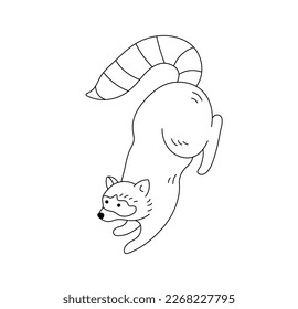 Vector isolated one single cute cartoon funny crawling raccoon with long striped tail colorless black and white contour line easy drawing