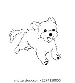 Vector isolated one single cute cartoon fast running shaggy lapdog puppy dog colorless black and white contour line easy drawing