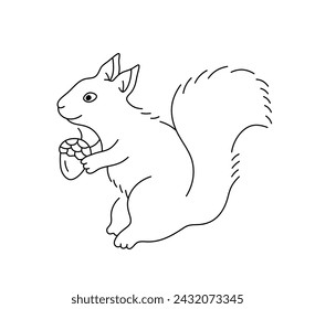 Vector isolated one single cute cartoon squirrel with acorn side view full body colorless black and white contour line easy drawing	
