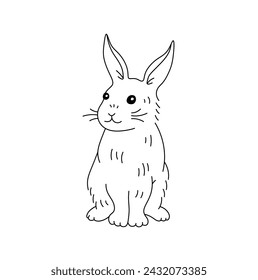 Vector isolated one single cute cartoon rabbit hare bunny front view sitting full body colorless black and white contour line easy drawing	
