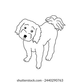 Vector isolated one single cute cartoon little dog lapdog shaggy colorless black and white contour line easy drawing