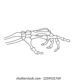 Vector isolated one single dead man hand skeleton and pointing index finger colorless black   white contour line easy drawing