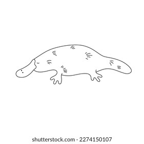 Vector isolated one single duckbill platypus side view colorless black and white contour line easy drawing