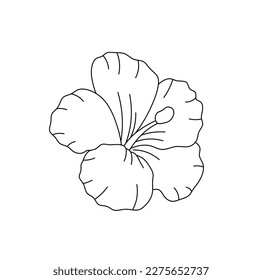 Vector isolated one single flower with five petals colorless black and white contour line easy drawing