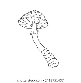 Vector isolated one single fly agaric mushroom cap colorless black and white contour line easy drawing	
