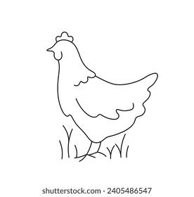 Vector isolated one single hen chicken fowl stands side view colorless black and white contour line easy drawing