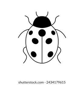 Vector isolated one single ladybug ladybird beetle top view colorless black and white contour line easy drawing	