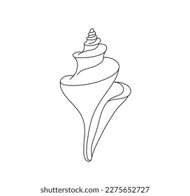 Vector isolated one single large beautiful sea shell seashell sea bowl colorless black   white contour line easy drawing