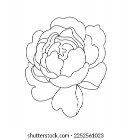 Vector isolated one single lush rose peony flower bud with petals  colorless black and white contour line easy drawing