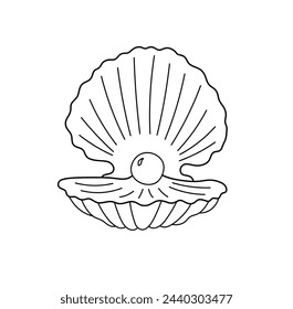 Vector isolated one single open shell with pearl colorless black and white contour line easy drawing