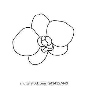 Vector aislado una sola forma de flor de orquídea línea de contorno incoloro blanco y negro dibujo fácil