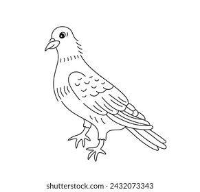 Vector isolated one single pigeon bird stand full body side view colorless black and white contour line easy drawing	