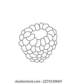 Vector isolated one single raspberry berry without leaves colorless black and white contour line easy drawing
