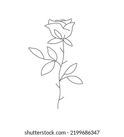 Vector Isolated One Single Rose Bud On Stem With Thorns Colorless Black And White Contour Line Easy Drawing