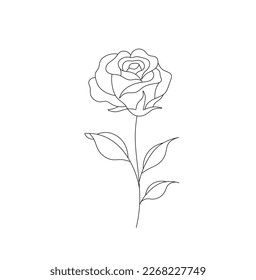 Vector aisló una sola flor de rosa sobre un tallo con hojas de contorno blanco y negro incoloro línea de dibujo fácil