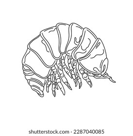 Vector isolated one single scary insect larva maggot nymph wood louse bug beetle colorless black and white contour line easy drawing