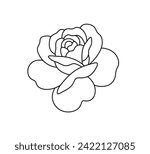 Vector isolated one single simple rose bud flower colorless black and white contour line easy drawing	
