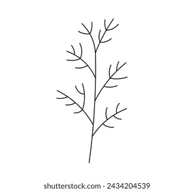 Vector isolated one single simple sprig of dill colorless black and white contour line easy drawing