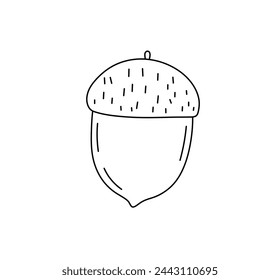 Vector isolated one single simple acorn oak colorless black and white contour line easy drawing	