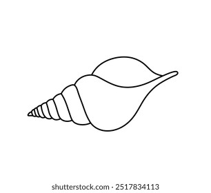 Vector isolated one single simple beautiful sea shell colorless black and white contour line easy drawing