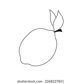 Vector isolated one single simplest lemon with two leaves colorless black and white contour line easy drawing