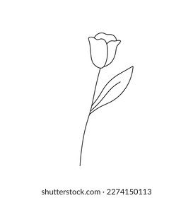 Vector isolated one single simplest tulip doodle flower colorless black and white contour line easy drawing