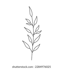 Vector isolated one single simplest vertical branch with leaves colorless black and white contour line easy drawing