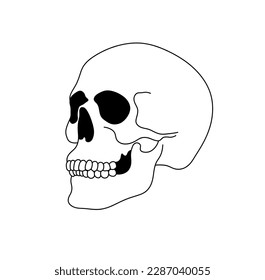 Vector isolated one single simplest smiling skull dead head isometric side view colorless black and white contour line easy drawing