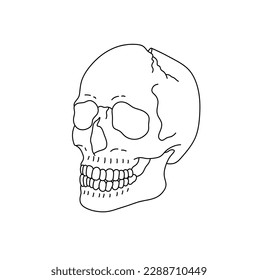 Vector isolated one single simplest smiling cracked skull and crack dead head isometric side view colorless black   white contour line easy drawing