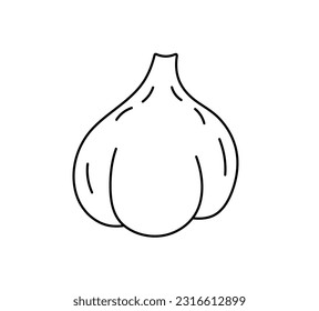 Vector isolated one single simplest garlic vegetable with greens colorless black and white contour line easy drawing