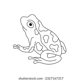 Vector isolated one single simplest sitting frog or toad with spots colorless black and white contour line easy drawing