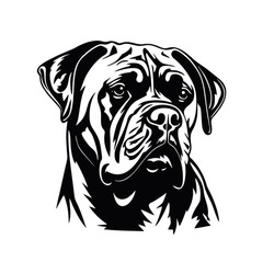 Vector Isolated One Single Sitting Cane Corso Mastiff Bullmastiff Dog Head Front View Black And White Bw Two Colors Silhouette. Template For Laser Engraving Or Stencil, Print For T Shirt