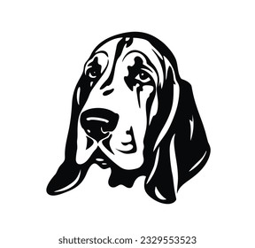 Vector isolated one single sitting Basset Hound dog head front view black and white bw two colors silhouette. Template for laser engraving or stencil, print for t shirt