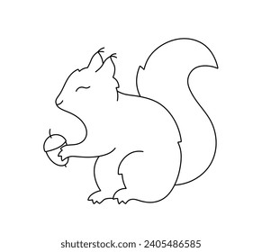 Vector isolated one single squirrel with acorn in paws side view colorless black and white contour line easy drawing