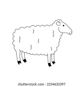 Vector isolated one single standing cute cartoon curly sheep lamb side view colorless black and white contour line easy drawing