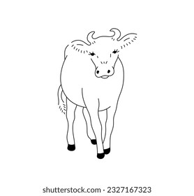 Vector isolated one single standing cow front view colorless black and white contour line easy drawing